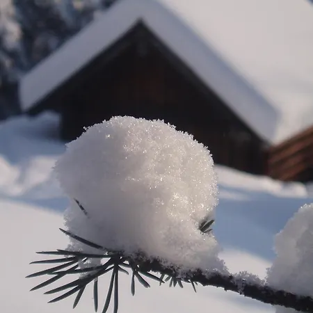 Bergfreund Mittenwald