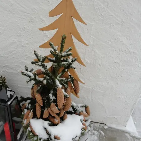 Σπίτι διακοπών Bergfreund Mittenwald